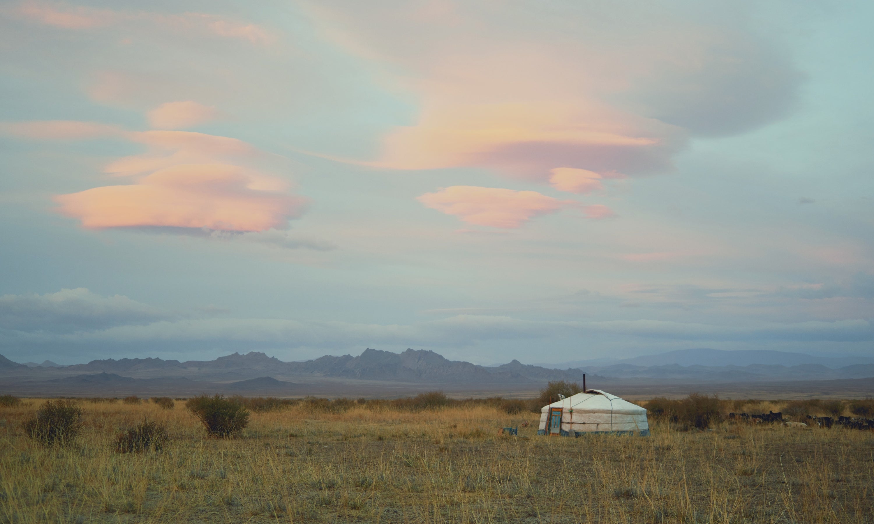 Mongolia view